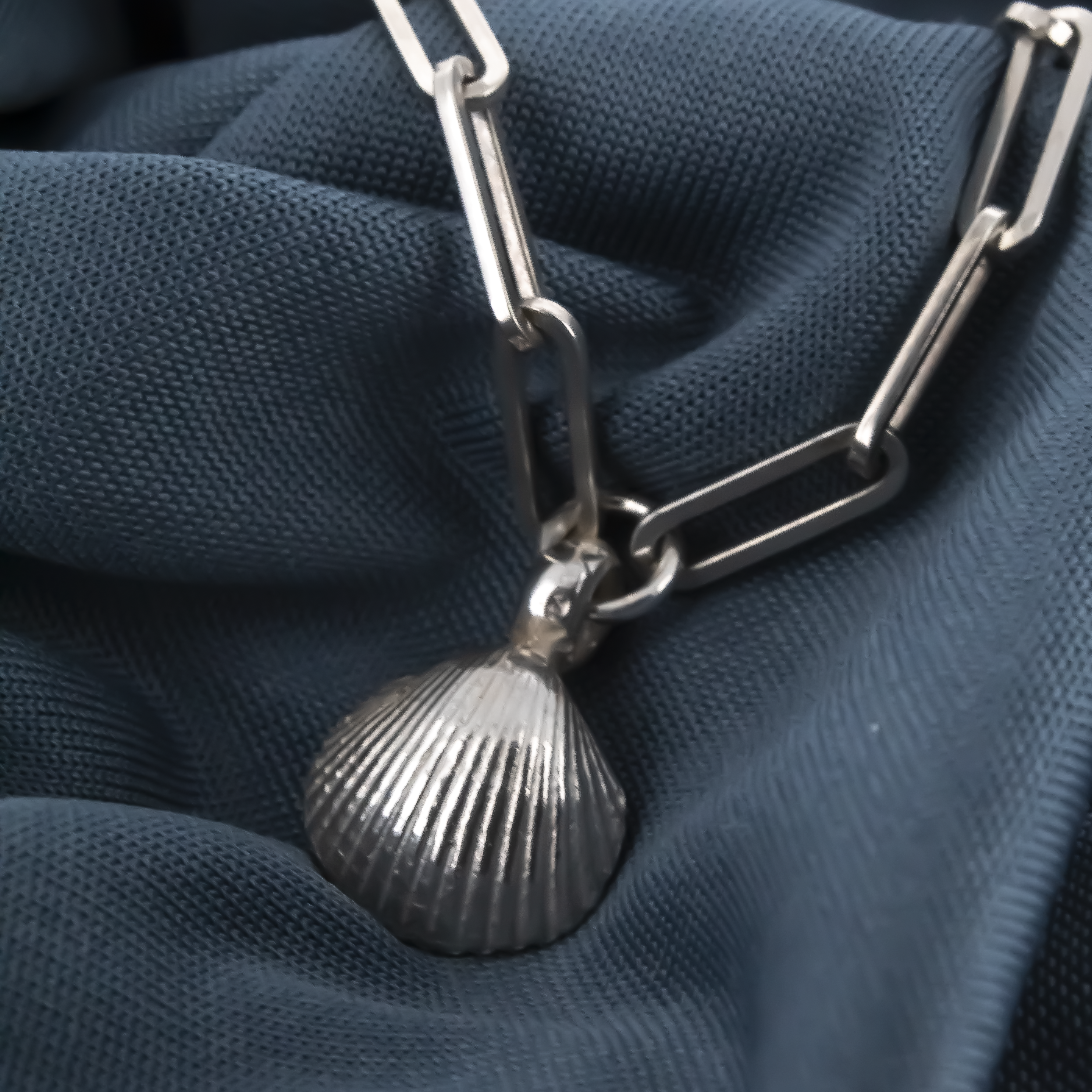 Shell Trace Chain Necklace