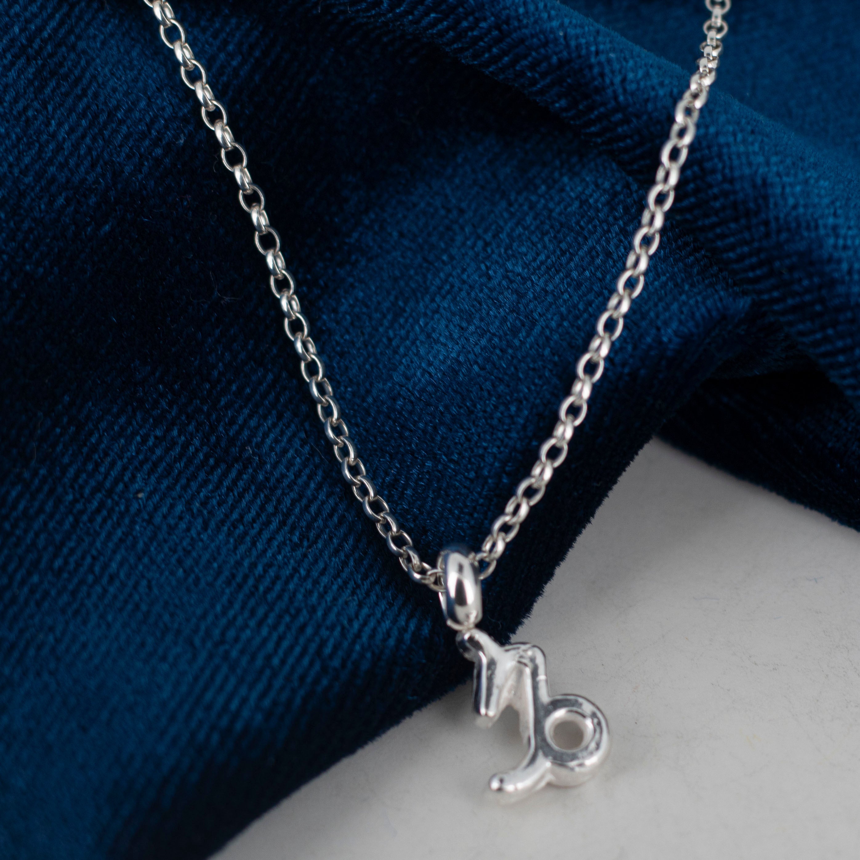Silver Zodiac Necklace